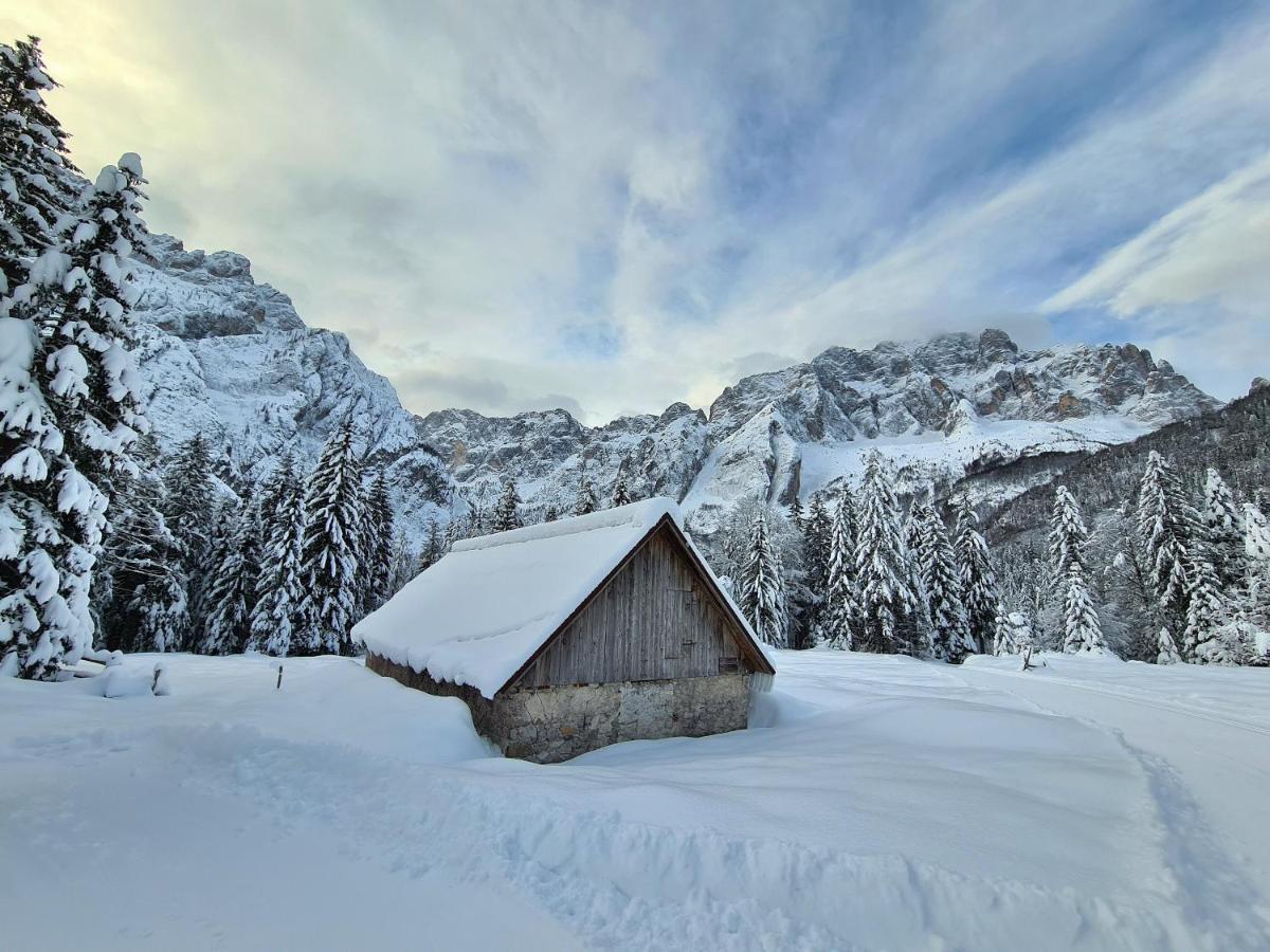 Chalet Camporosso Camporosso  المظهر الخارجي الصورة