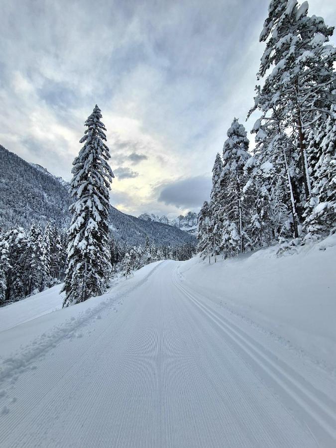 Chalet Camporosso Camporosso  المظهر الخارجي الصورة